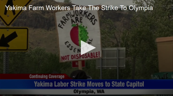 2020-05-27 Yakima Farm Workers Take The Strike To Olympia Fox 11 Tri Cities Fox 41 Yakima