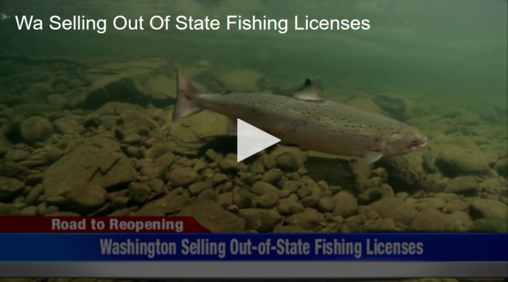 2020-06-08 WA Selling Out Of State Fishing Licenses Fox 11 Tri Cities Fox 41 Yakima