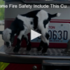 2020-06-24 Tips For Home Fire Safety Include This Cute Goat FOX 28 Spokane