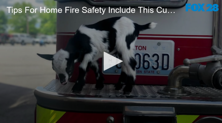 2020-06-24 Tips For Home Fire Safety Include This Cute Goat FOX 28 Spokane