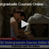 WSU Undergraduate Courses Online Only