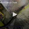 Deadly Australian Snake In Cab Of Truck