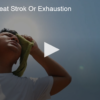 2020-07-21 Signs Of Heat Stroke Or Exhaustion Fox 11 Tri Cities Fox 41 Yakima