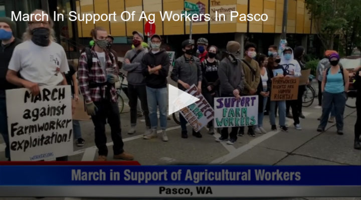2020-08-21 March In Support Of Ag Workers In Pasco Fox 11 Tri Cities Fox 41 Yakima | Fox 11 Tri Cities Fox 41 Yakima 2020-08-21 March In Support Of Ag Workers In Pasco Fox 11 Tri Cities Fox 41 Yakima