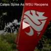 COVID-19 Cases Spike As WSU Reopens