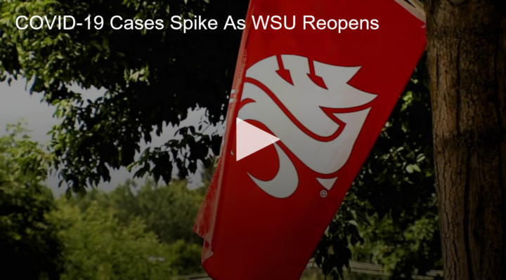 2020-08-24 COVID-19 Cases Spike As WSU Reopens Fox 11 Tri Cities Fox 41 Yakima