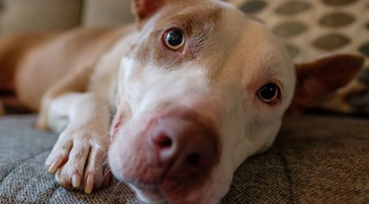 StevenCogswellHarley | FOX 28 Spokane