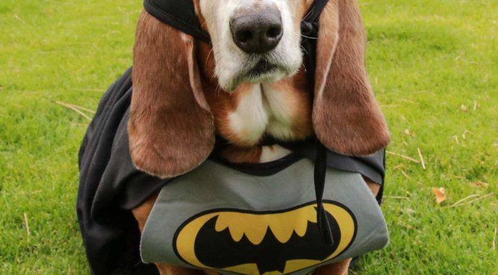 CherieMarshall | FOX 28 Spokane