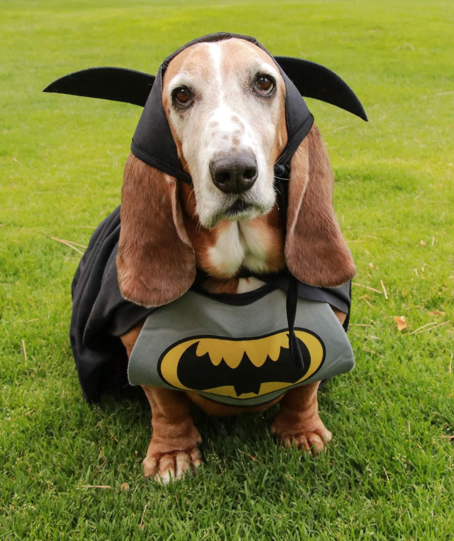 | Fox 11 Tri Cities Fox 41 Yakima