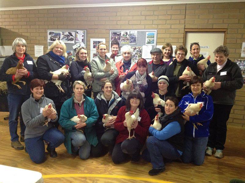 | Fox 11 Tri Cities Fox 41 Yakima