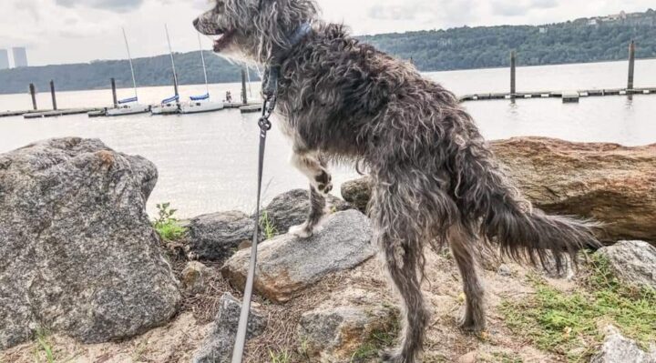 JenniferBristolByTheRiver | Fox 11 Tri Cities Fox 41 Yakima