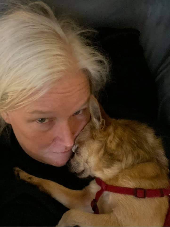 | Fox 11 Tri Cities Fox 41 Yakima