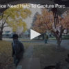 2020-11-13 Yakima Police Need Help To Capture Porch Pirate Fox 11 Tri Cities Fox 41 Yakima
