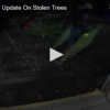 Crime Tracker Update on Stolen Trees