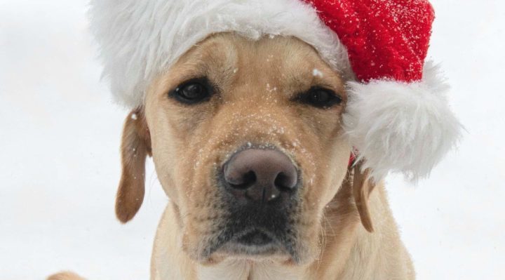 BrendaWeeks-720x399.jpg | Fox 11 Tri Cities Fox 41 Yakima