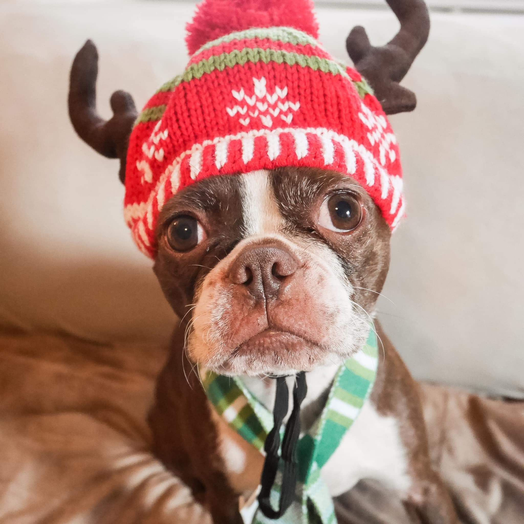 | Fox 11 Tri Cities Fox 41 Yakima