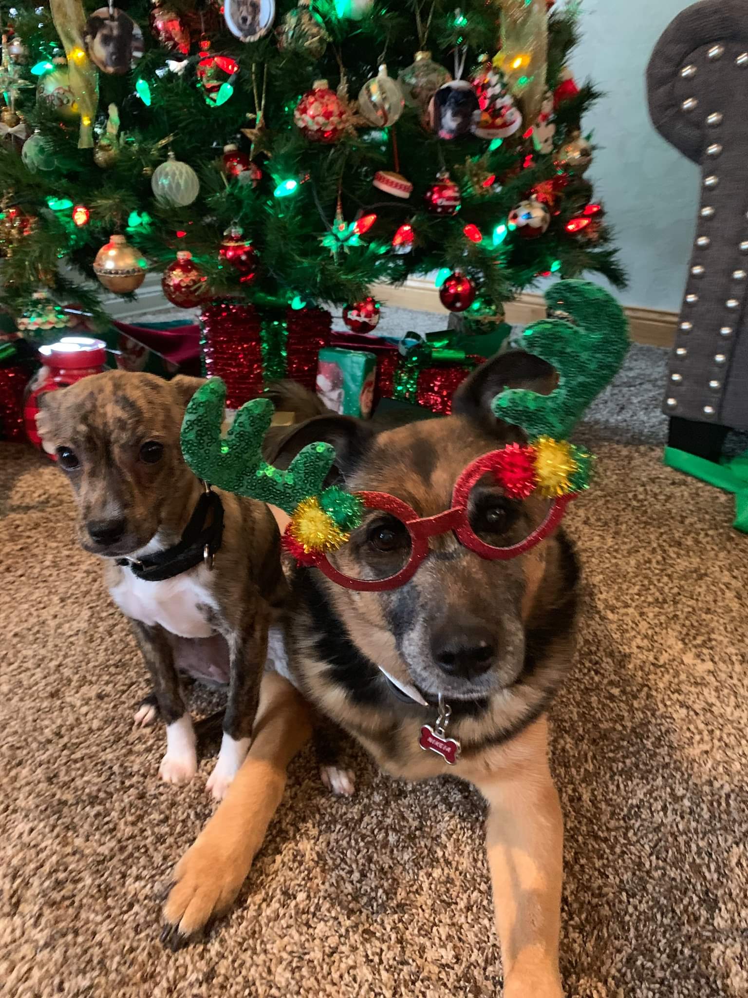 | Fox 11 Tri Cities Fox 41 Yakima