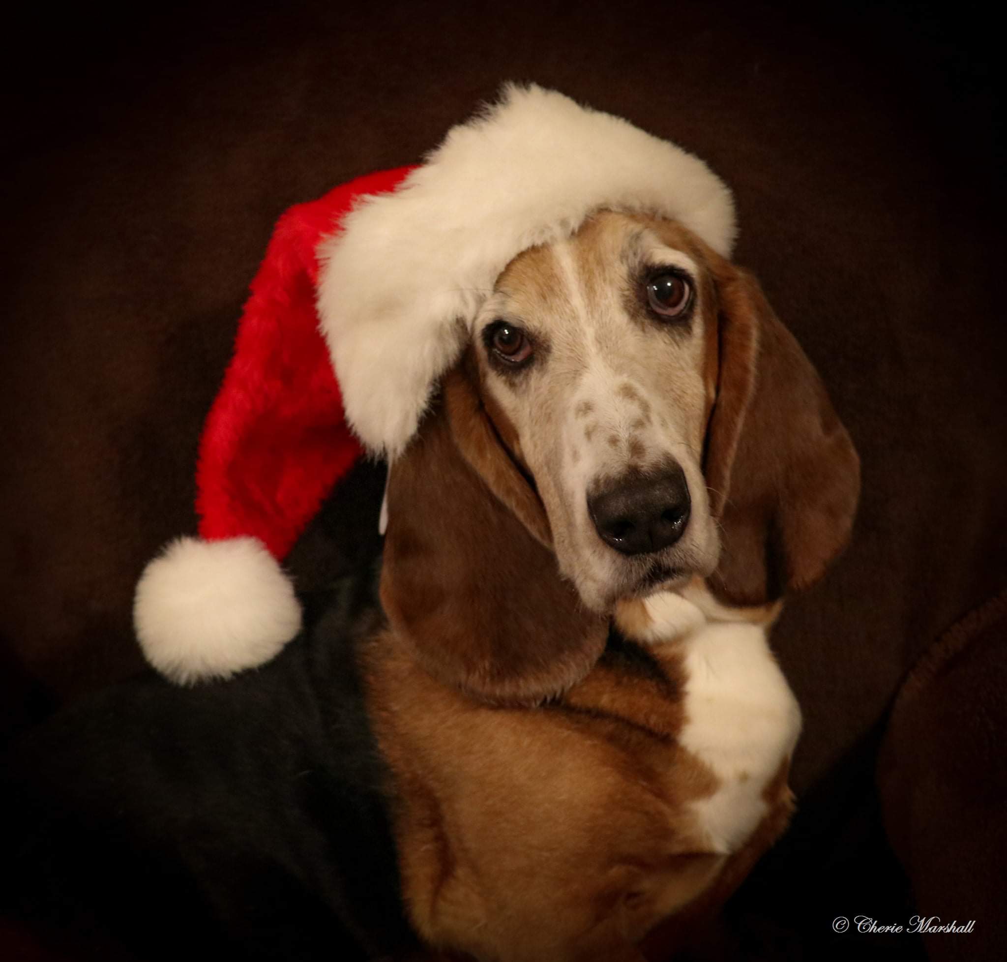 | Fox 11 Tri Cities Fox 41 Yakima