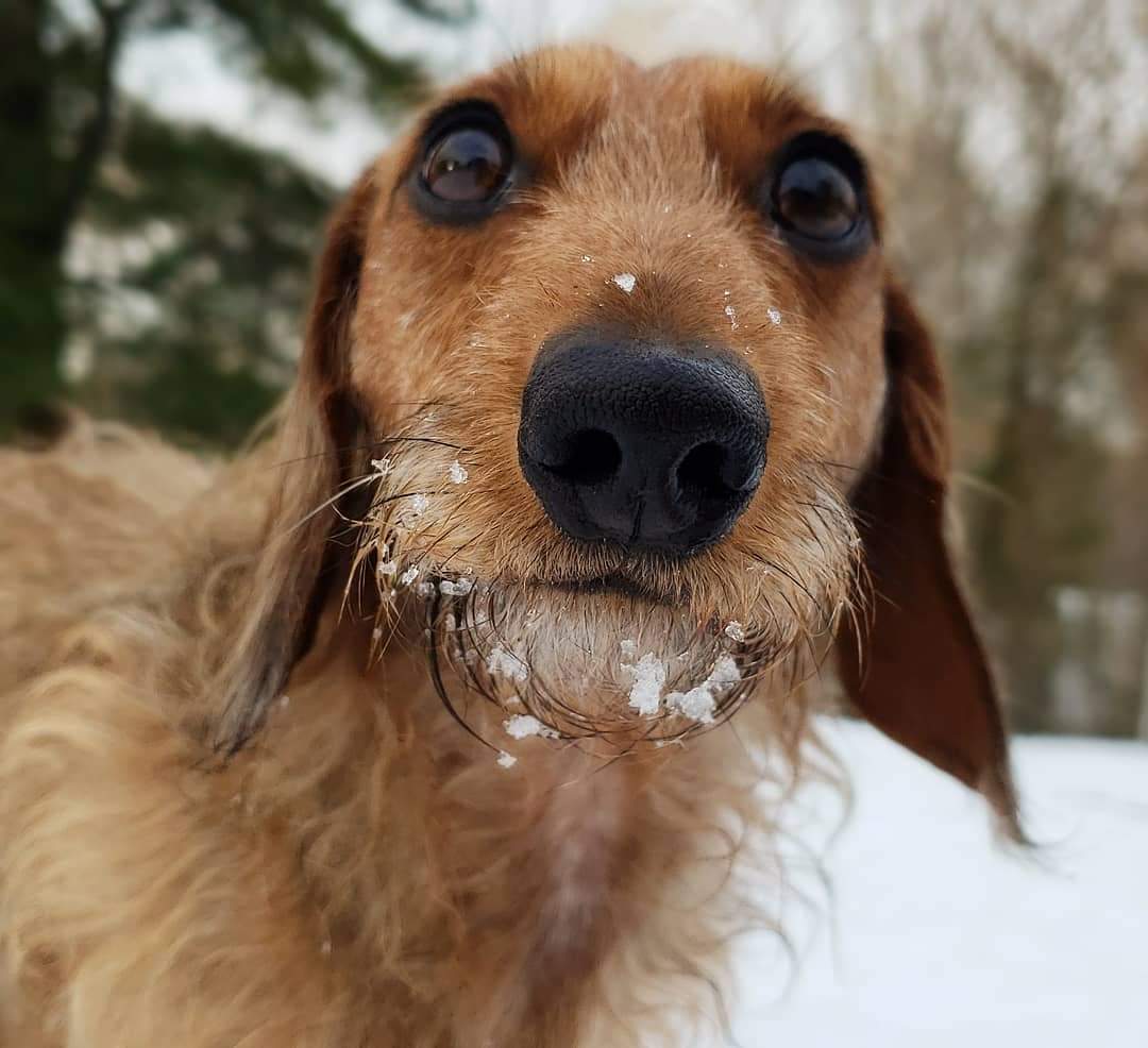 | Fox 11 Tri Cities Fox 41 Yakima