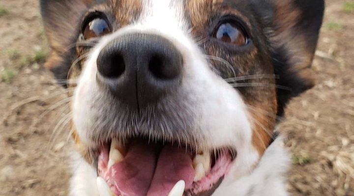 ErinSaywell-720x399.jpg | Fox 11 Tri Cities Fox 41 Yakima