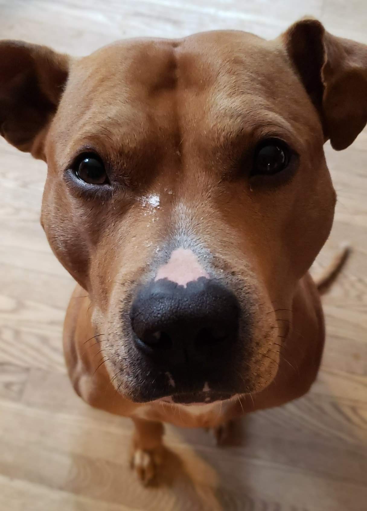 | Fox 11 Tri Cities Fox 41 Yakima