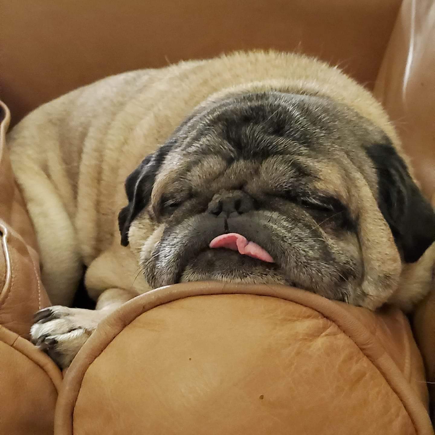 | Fox 11 Tri Cities Fox 41 Yakima