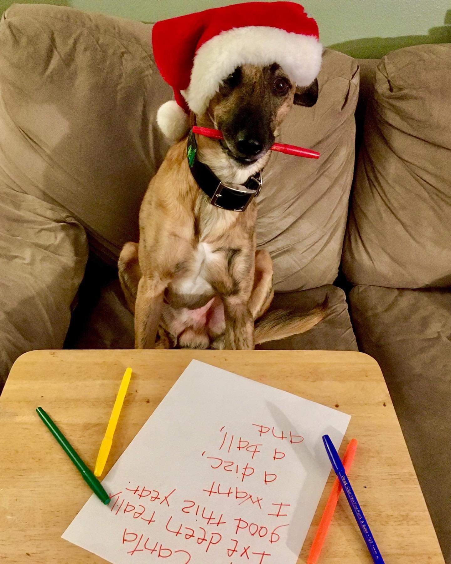 | Fox 11 Tri Cities Fox 41 Yakima