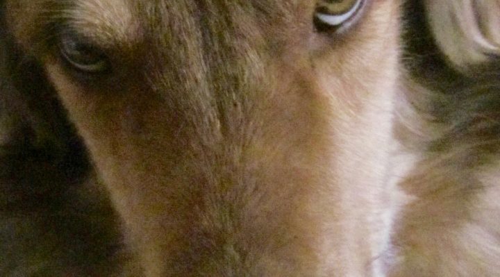 ValHughesSmudge-720x399.jpg | Fox 11 Tri Cities Fox 41 Yakima