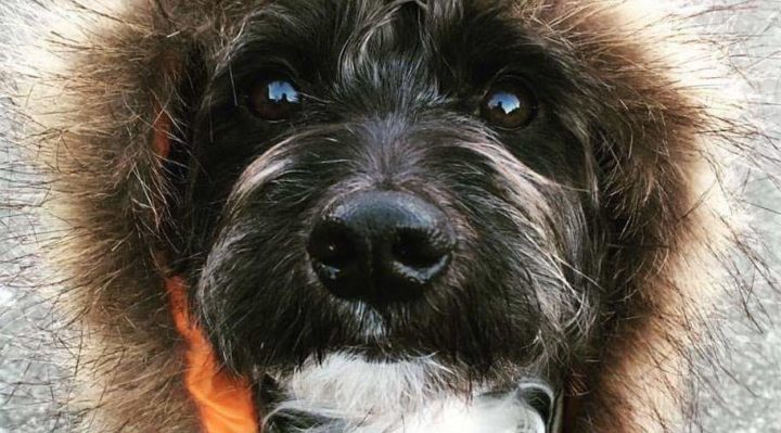 RubinDietz-Gilpin | FOX 28 Spokane RubinDietz-Gilpin