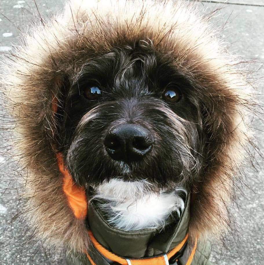 RubinDietz-Gilpin | FOX 28 Spokane RubinDietz-Gilpin