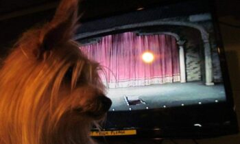 ADJUSTING TO HER AGING — THE HARD PART: ADJUSTING TO HER ABSENCE