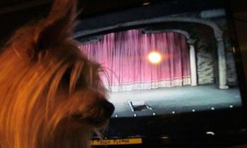 ADJUSTING TO HER AGING — THE HARD PART: ADJUSTING TO HER ABSENCE