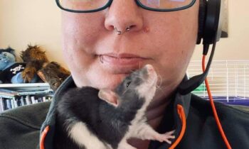 PANDEMIC PUPS AND COVID KITTENS—DID YOU ADOPT A PET LAST YEAR?