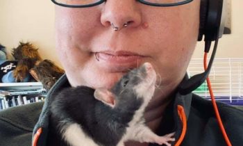 PANDEMIC PUPS AND COVID KITTENS—DID YOU ADOPT A PET LAST YEAR?