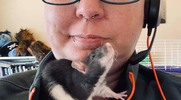 MarkCeeRat | FOX 28 Spokane