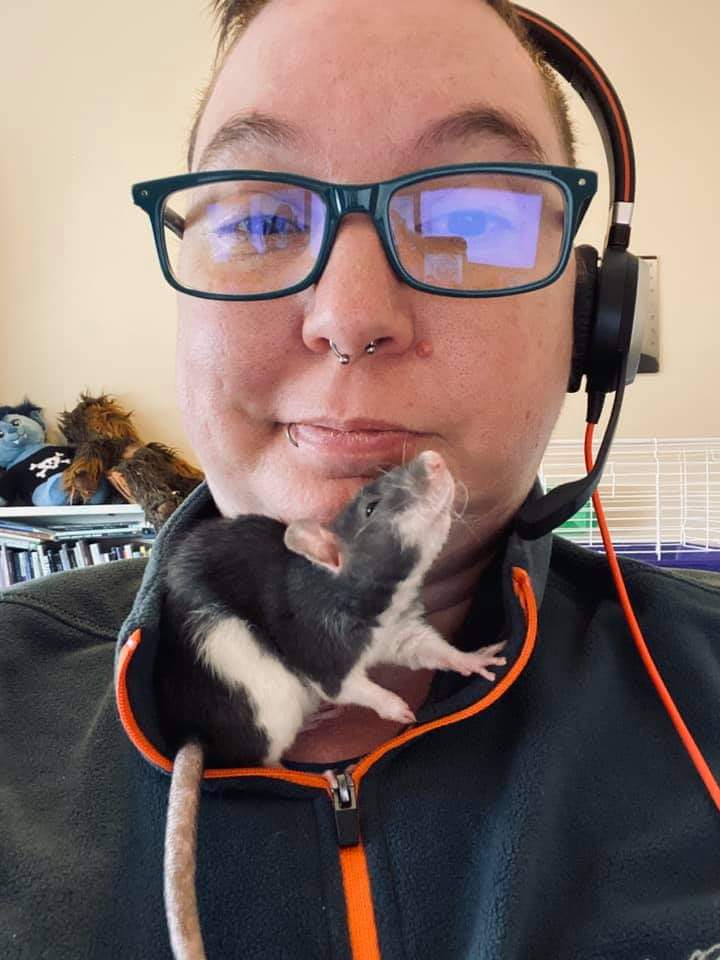 | Fox 11 Tri Cities Fox 41 Yakima