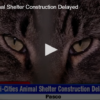 Tri-Cities Animal Shelter Construction Delayed
