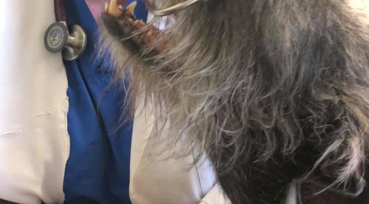 ChristieKeith | FOX 28 Spokane