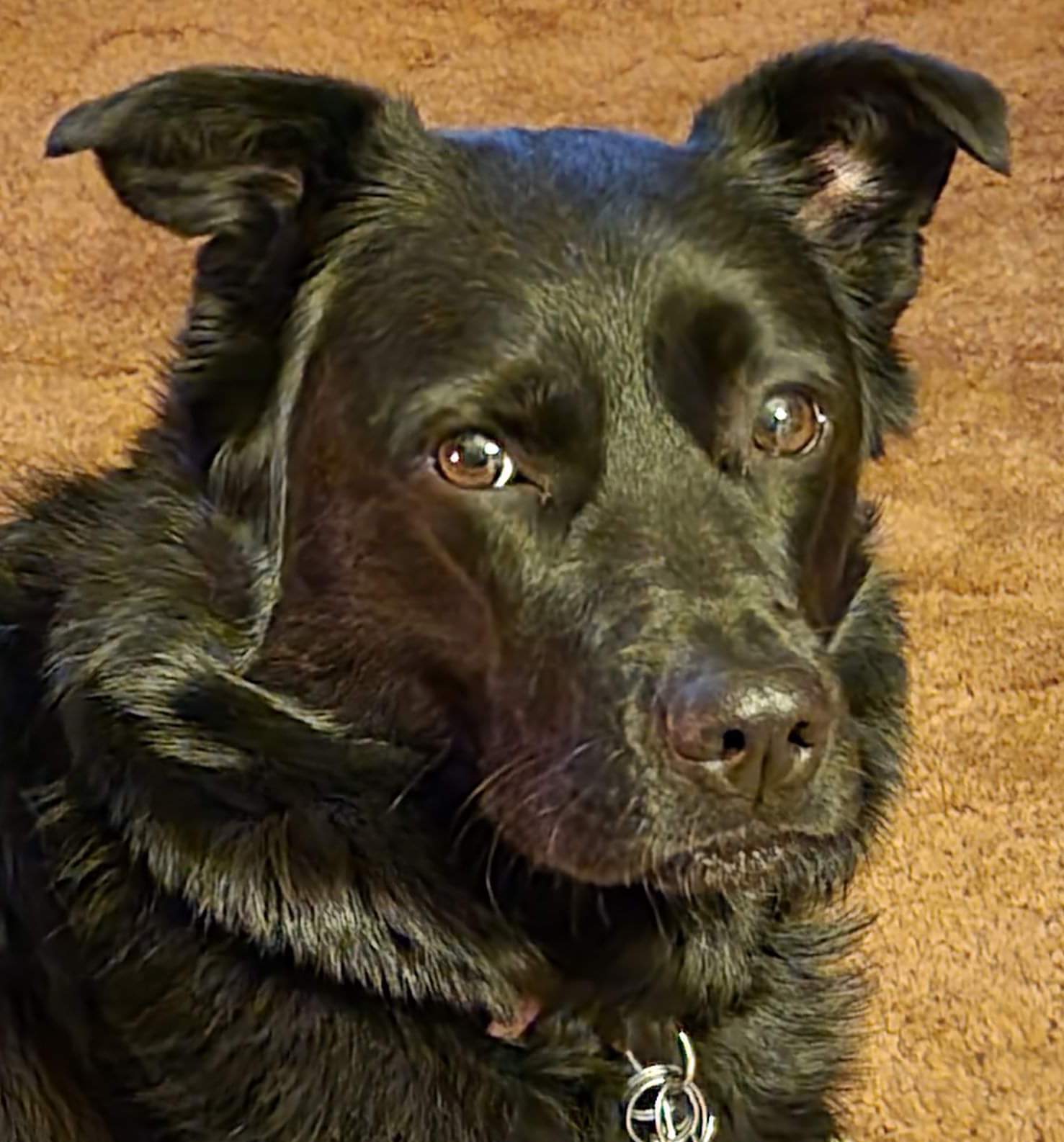 DaveKochBrave | FOX 28 Spokane