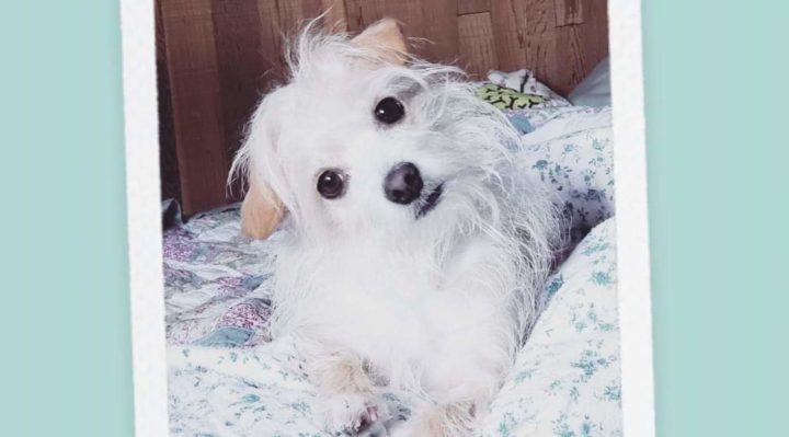 JamieWilke | FOX 28 Spokane