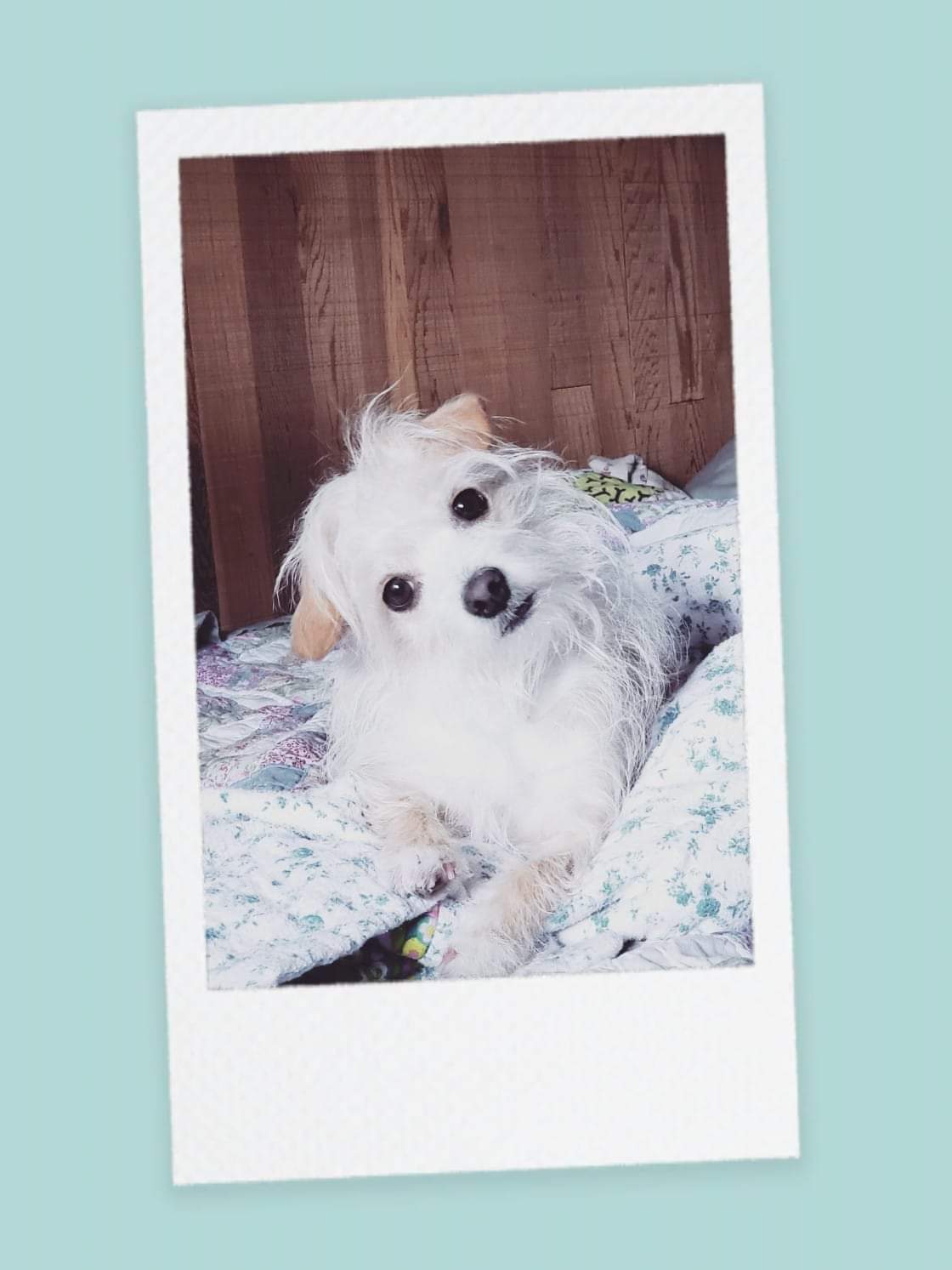 JamieWilke | FOX 28 Spokane