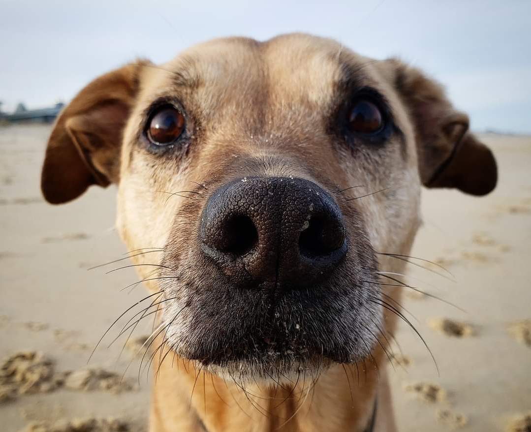 ErinSaywell | FOX 28 Spokane