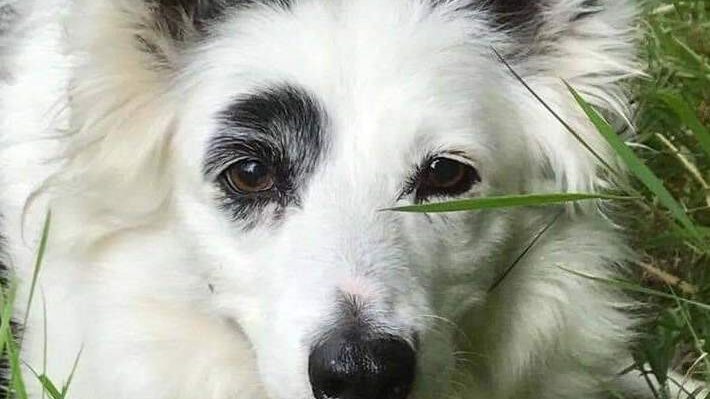 SallyBradbury | Fox 11 Tri Cities Fox 41 Yakima