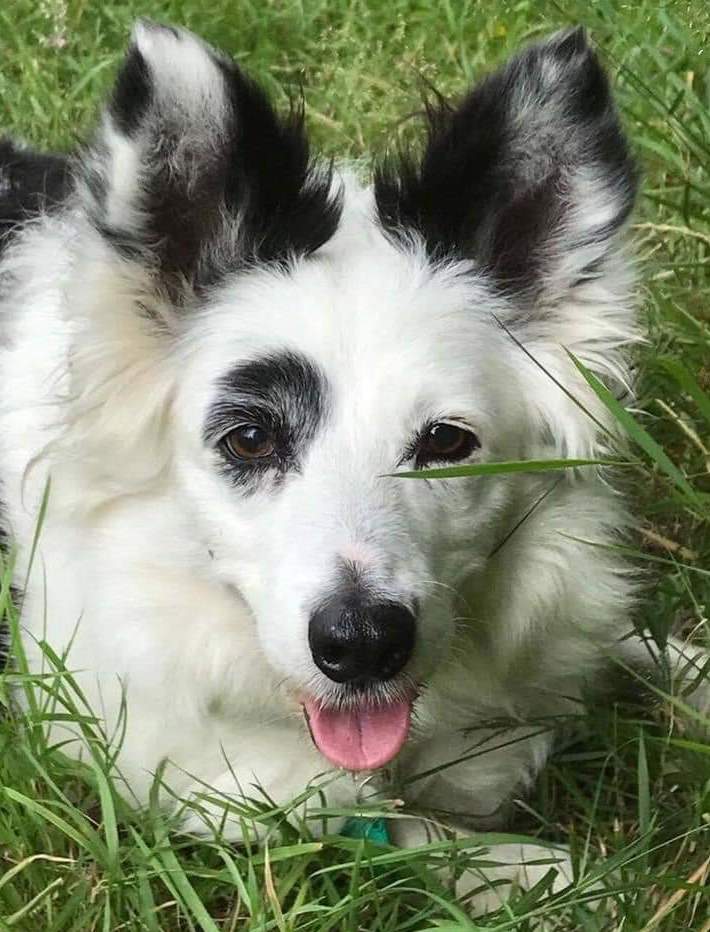 SallyBradbury | FOX 28 Spokane