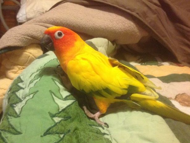 DonnaWeidert | FOX 28 Spokane