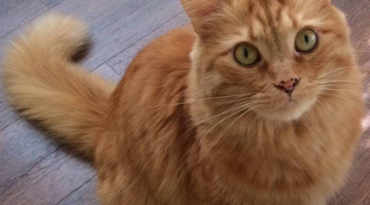 KimRinehardt | FOX 28 Spokane