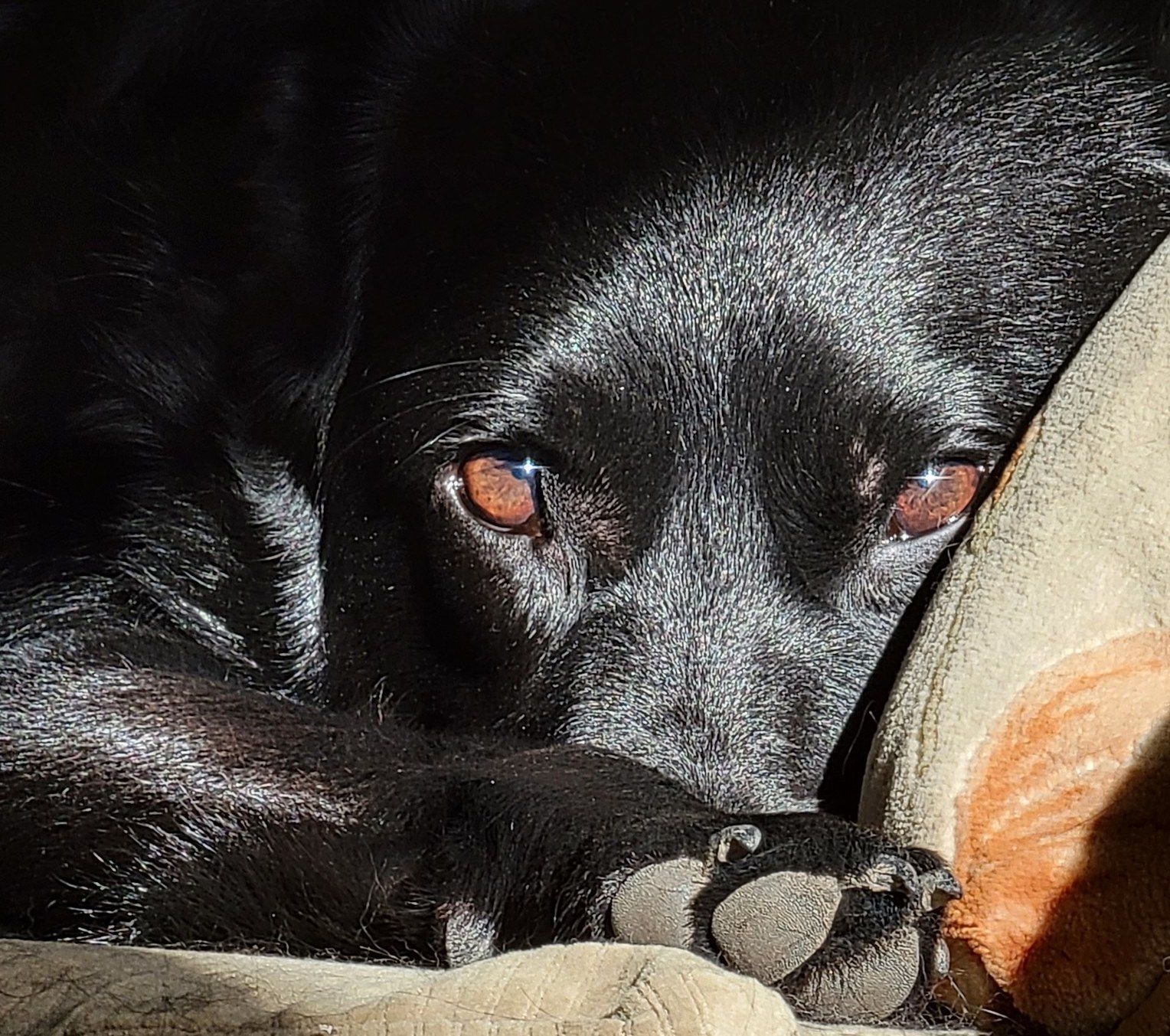 DaveKoch | FOX 28 Spokane