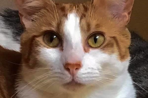 CarlosAlden-599x399.jpg | Fox 11 Tri Cities Fox 41 Yakima