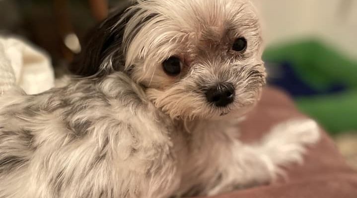 JaxonRiley-719x399.jpg | Fox 11 Tri Cities Fox 41 Yakima