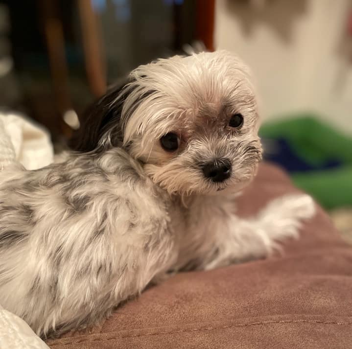 JaxonRiley | FOX 28 Spokane